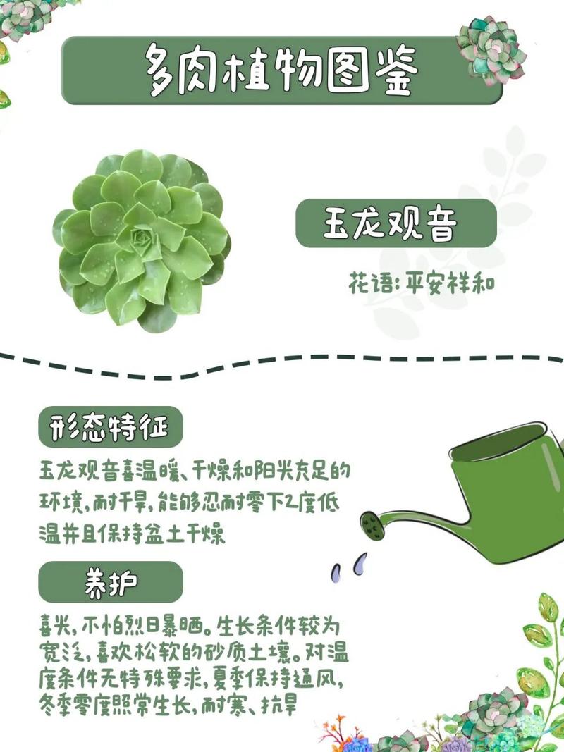 玉龙观音怎么修剪，玉龙观音修剪方法-第8张图片-优品飞百科