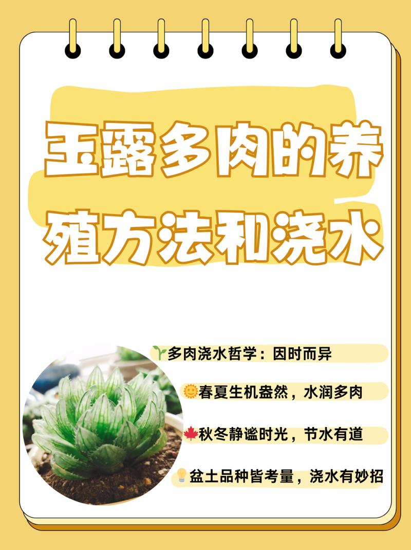 玉露的播种方法？玉露苗怎么种？-第4张图片-优品飞百科