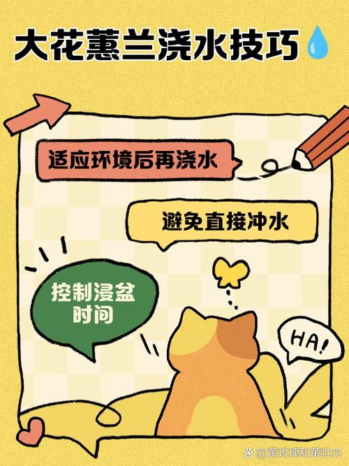 大花蕙兰花期怎样浇水，大花蕙兰花期怎样浇水视频-第4张图片-优品飞百科