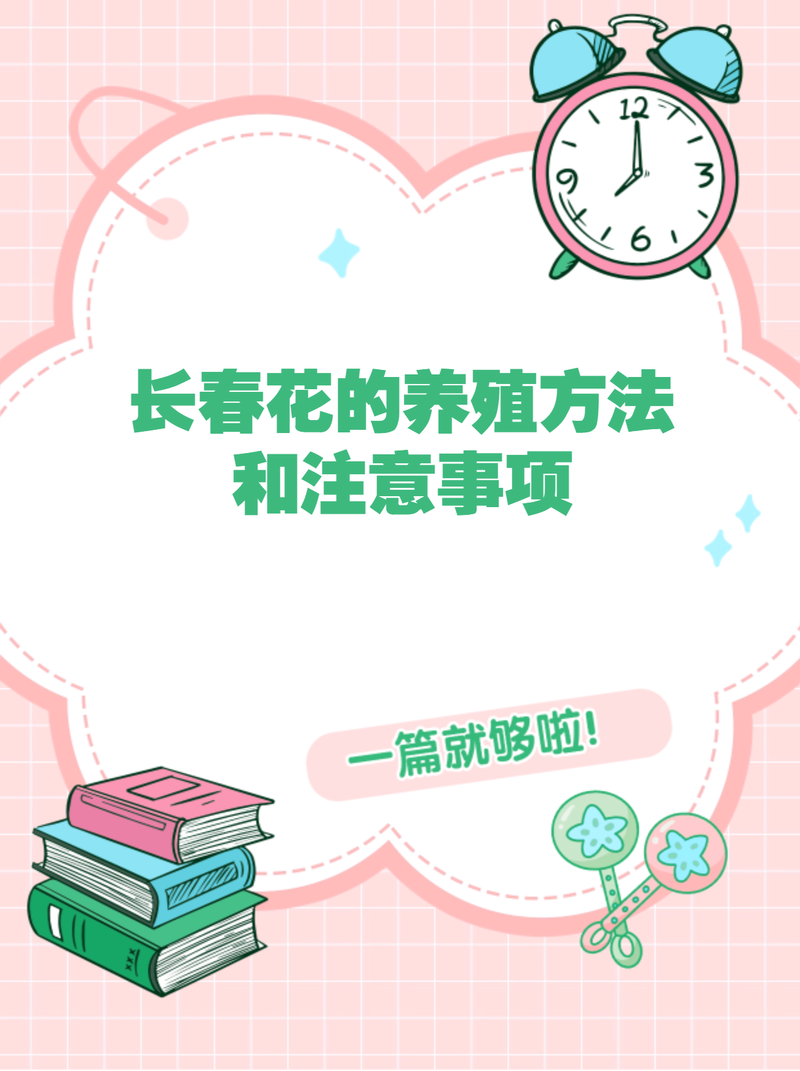 长春花夏天怎么养，长春花怎么度夏-第3张图片-优品飞百科