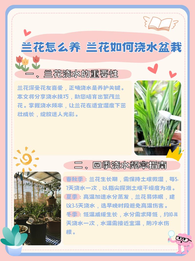 兰花服盆后要喷药防病吗，兰花服盆后施什么肥-第5张图片-优品飞百科