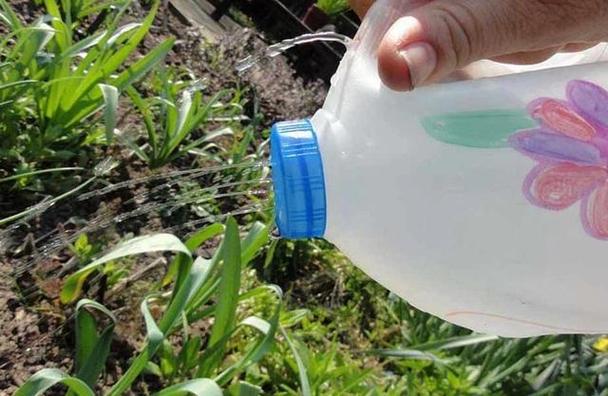 君子兰可以用淘米水吗，君子兰适合浇淘米水吗-第5张图片-优品飞百科