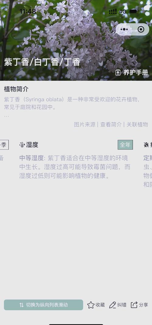 丁香花几天浇一次，丁香花多少天浇一次水-第5张图片-优品飞百科