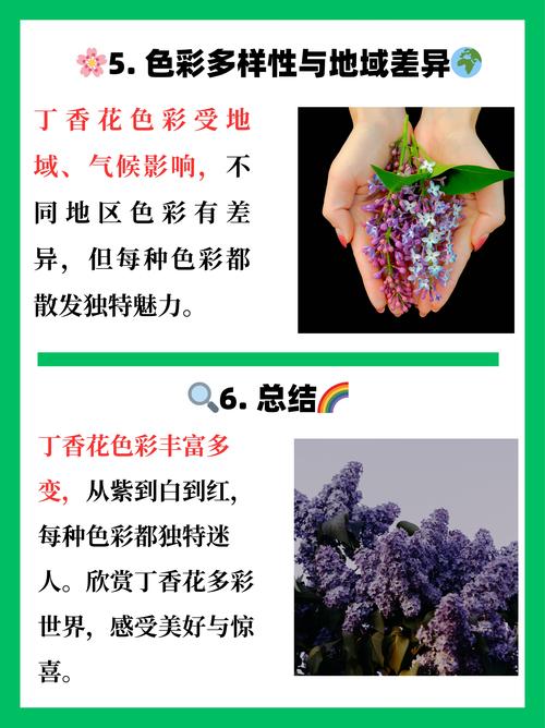 丁香花几天浇一次，丁香花多少天浇一次水-第8张图片-优品飞百科