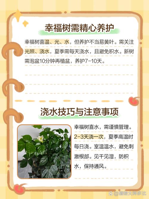 幸福树浇水的正确方法，幸福树喜阴还是喜阳-第7张图片-优品飞百科