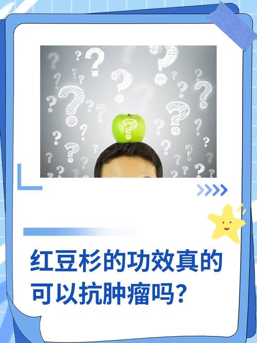 如何判断红豆杉死亡，怎么判断红豆杉的树龄？