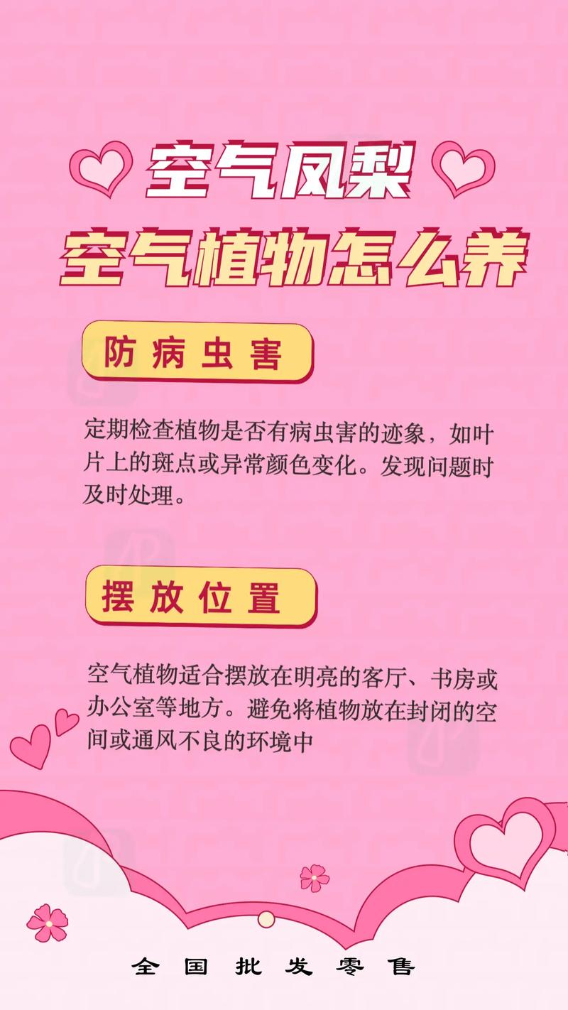空气草怎么养？空气草怎么养靠吃空气就能养活!？-第4张图片-优品飞百科