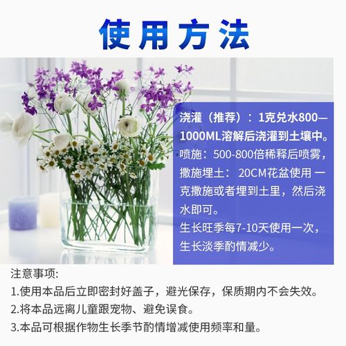 空气草怎么养？空气草怎么养靠吃空气就能养活!？-第5张图片-优品飞百科