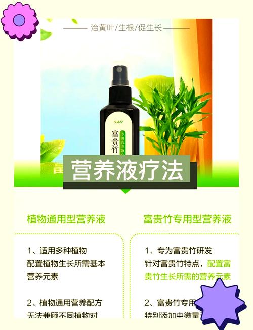 富贵竹营养液自制配方，富贵竹爱喝3种营养水？