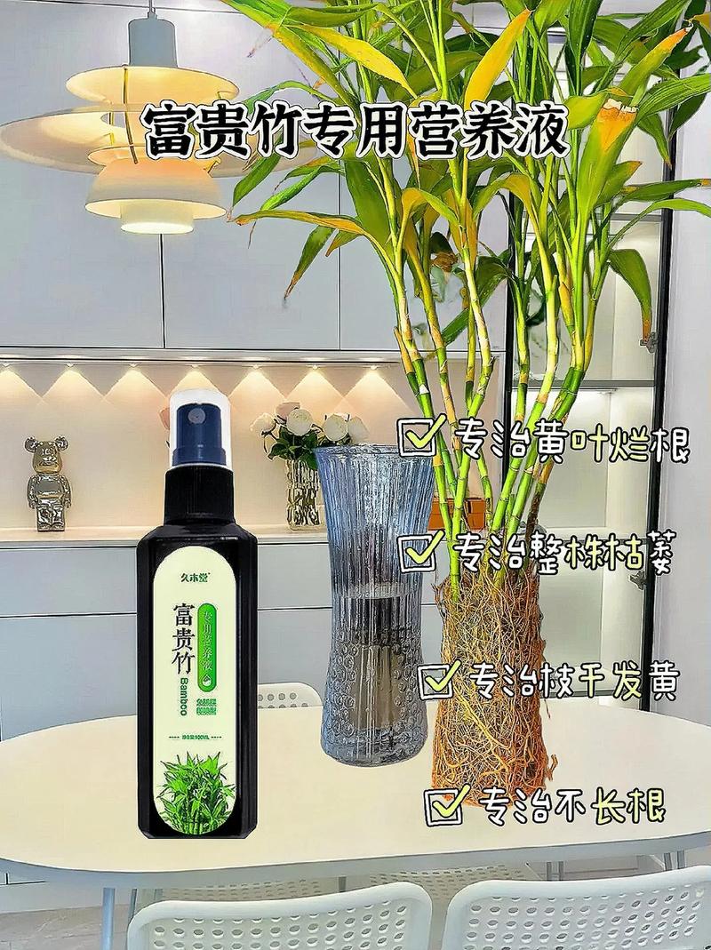 富贵竹营养液自制配方，富贵竹爱喝3种营养水？-第3张图片-优品飞百科