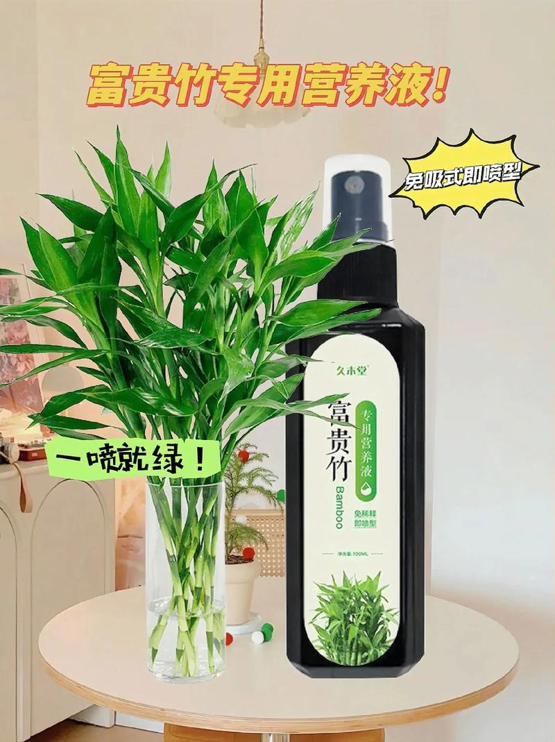 富贵竹营养液自制配方，富贵竹爱喝3种营养水？-第5张图片-优品飞百科
