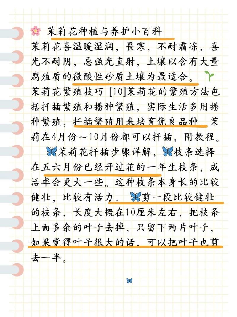 茉莉花能扦插吗，茉莉花可以扦插吗怎么样扦插？-第4张图片-优品飞百科