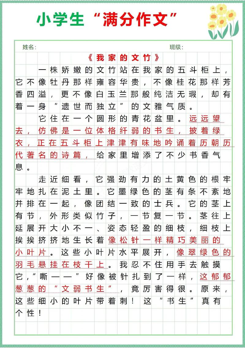 15年的文竹养成精，几年的文竹可以长种子？-第4张图片-优品飞百科