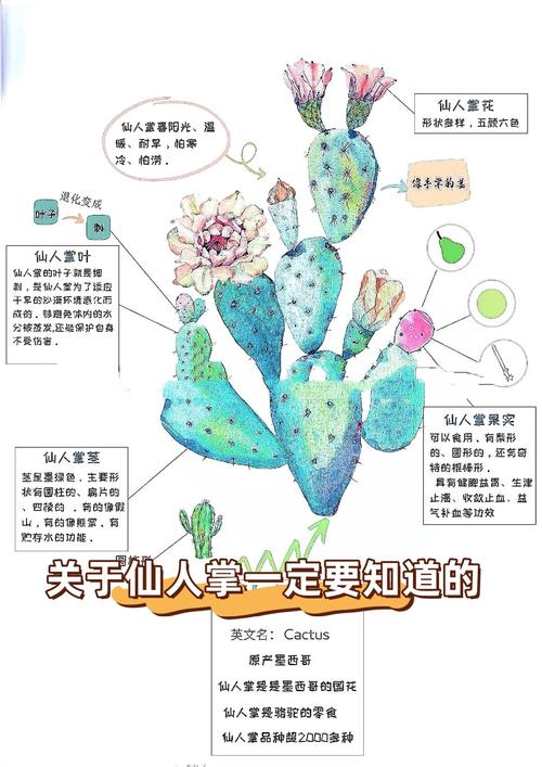 叶仙人掌的繁殖方法？叶仙人掌插上几天成活？