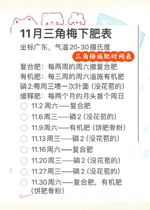 三角梅如何多开花，三角梅怎样多开花？-第8张图片-优品飞百科