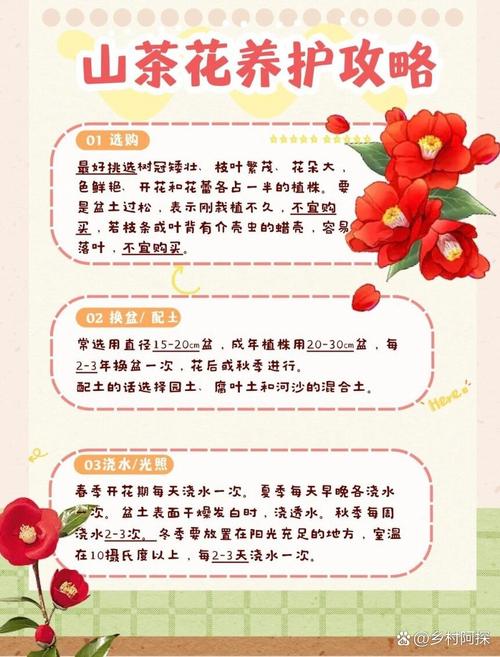 茶花怎么养长得快？茶花怎么养长得快些？