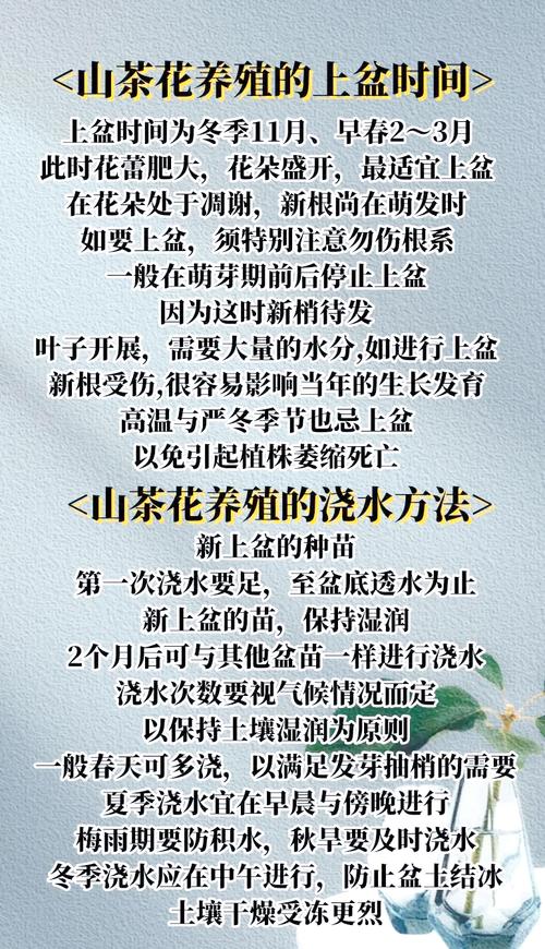 茶花怎么养长得快？茶花怎么养长得快些？-第3张图片-优品飞百科