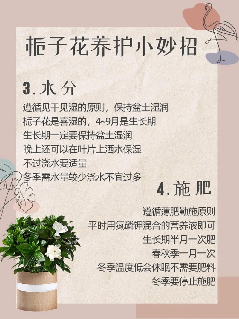 栀子花枝疯长别不管，栀子花侧枝疯长？-第8张图片-优品飞百科