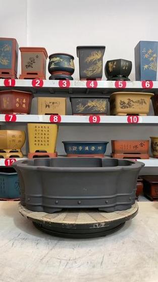 梅花上盆用什么土比较好？盆栽梅花需要什么土？