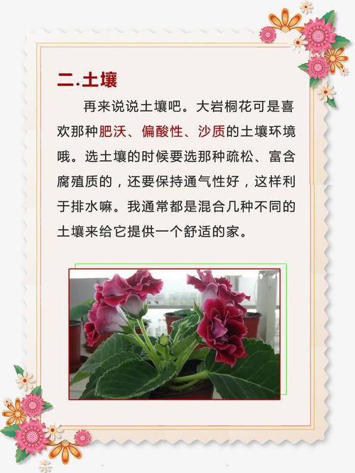 大岩桐对水分的要求？大岩桐对水分的要求有哪些？