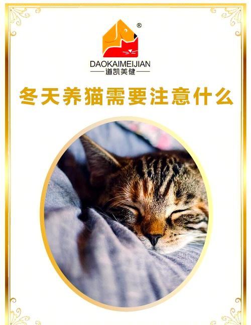 滇山茶冬天养殖有哪些禁忌?滇山茶花图片大全?-第2张图片-优品飞百科 滇山茶冬天养殖有哪些禁忌?滇山茶花图片大全?-第2张图片-优品飞百科