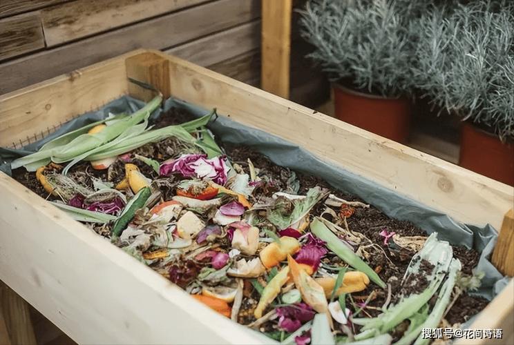 别再买肥料了？去买肥料？-第6张图片-优品飞百科