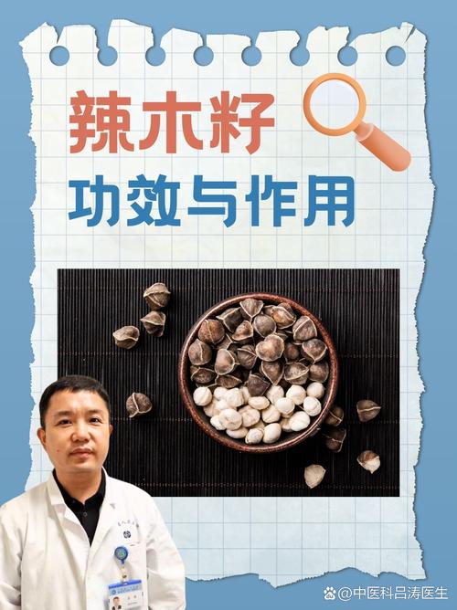 辣木籽种子怎么种植，辣木籽种苗