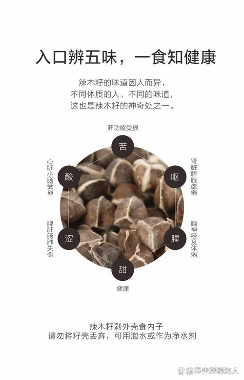 辣木籽种子怎么种植，辣木籽种苗-第3张图片-优品飞百科