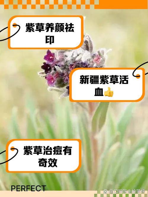 白花紫露草怎么修剪，白花紫露草怎么修剪图解-第3张图片-优品飞百科
