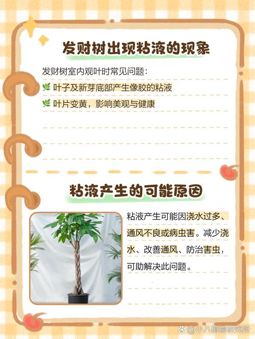 发财树小苗怎样造型更好看，发财树小苗怎么种-第4张图片-优品飞百科