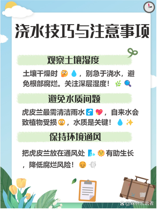 怎么判断虎皮兰缺水？怎么判断虎皮兰缺水没有？-第5张图片-优品飞百科