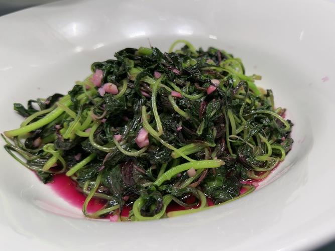 丁香叶子发黑怎么办,丁香树叶子发黑啥原因?-第5张图片-优品飞百科 丁香叶子发黑怎么办,丁香树叶子发黑啥原因?-第5张图片-优品飞百科