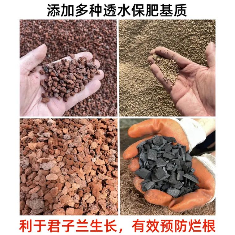 养君子兰的土怎么做，养君子兰的土怎么做肥料？