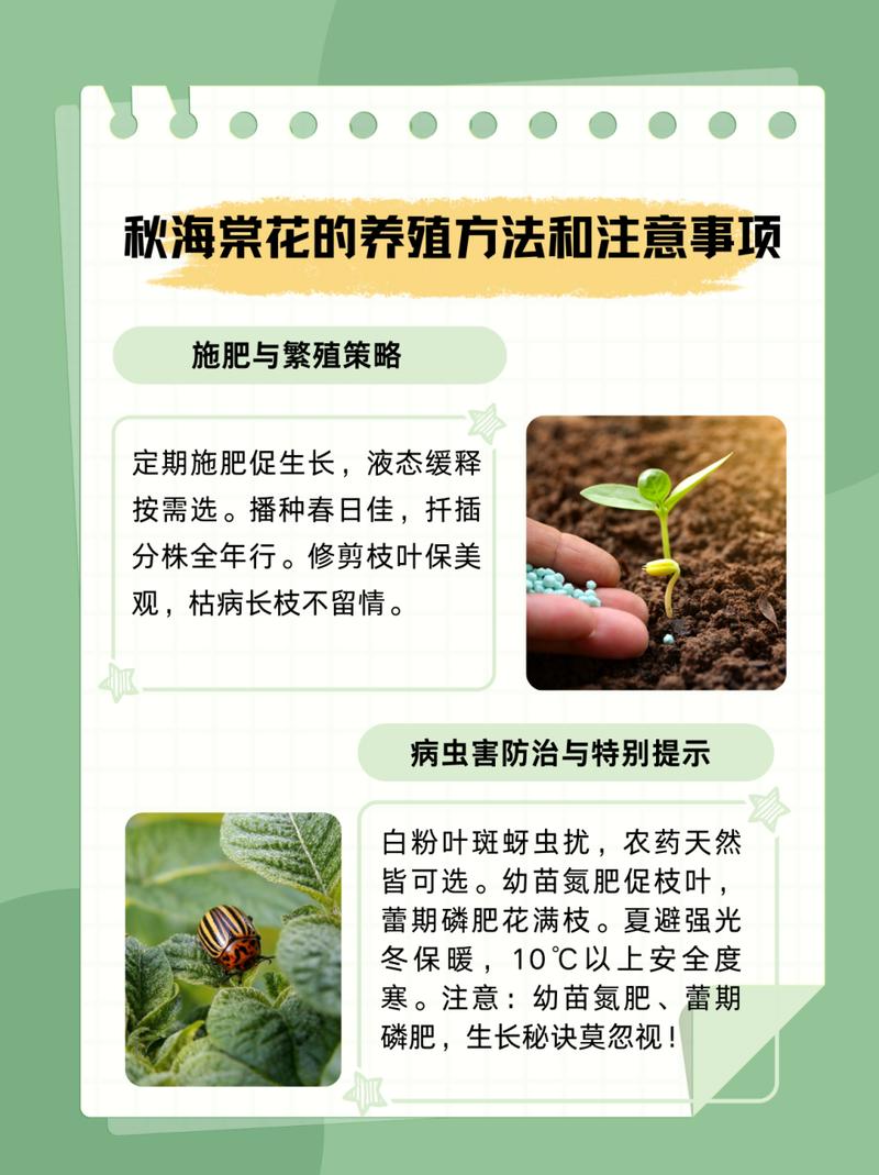 海棠花怎么养,海棠花怎么养爱开花-第1张图片-优品飞百科 海棠花怎么养,海棠花怎么养爱开花-第1张图片-优品飞百科