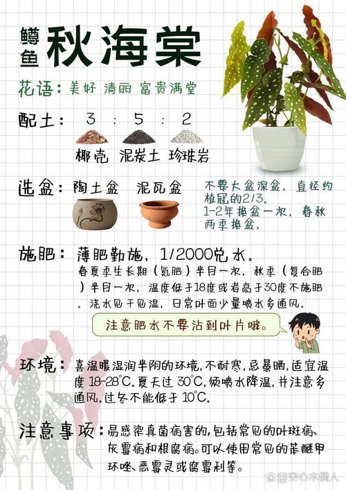 海棠花怎么养,海棠花怎么养爱开花-第3张图片-优品飞百科 海棠花怎么养,海棠花怎么养爱开花-第3张图片-优品飞百科