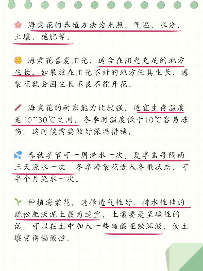 海棠花怎么养,海棠花怎么养爱开花-第4张图片-优品飞百科 海棠花怎么养,海棠花怎么养爱开花-第4张图片-优品飞百科