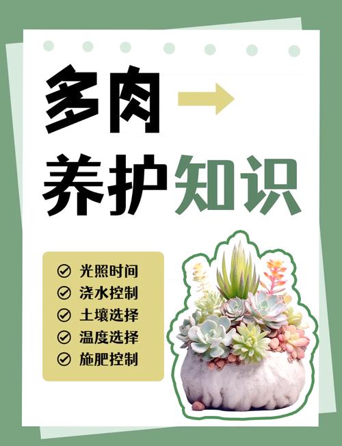 多肉植物温度低冻伤处理方法？天冷多肉冻伤了怎么挽救？-第6张图片-优品飞百科