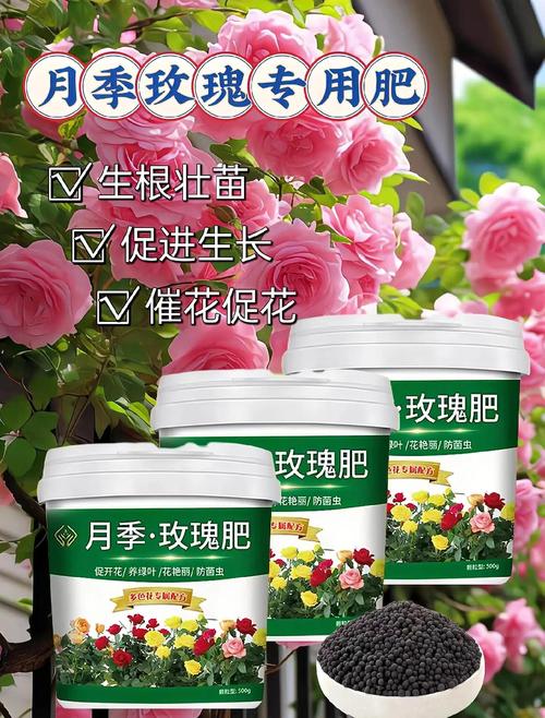月季春天种植怎么施肥，月季花春天施什么肥料比较好-第7张图片-优品飞百科