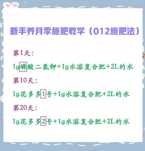 月季春天种植怎么施肥，月季花春天施什么肥料比较好-第8张图片-优品飞百科