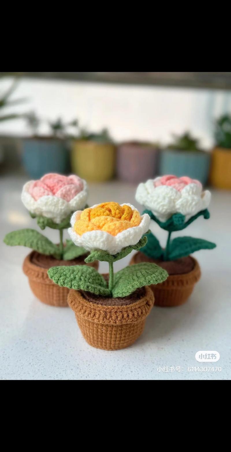 盆栽玫瑰花怎么浇水，盆栽玫瑰花怎样浇水？-第4张图片-优品飞百科