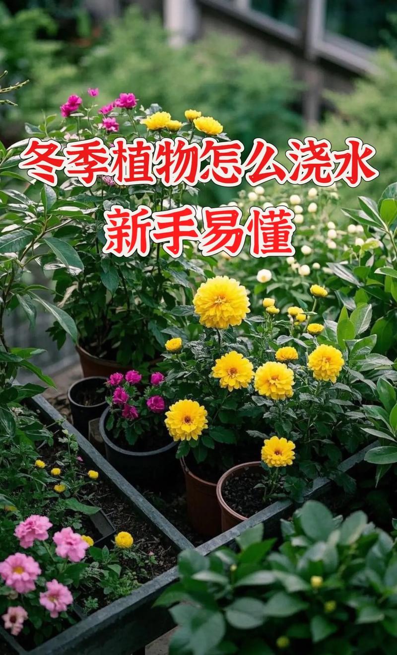 室内花草多少天浇一次水，室内花草多少天浇一次水好？-第4张图片-优品飞百科