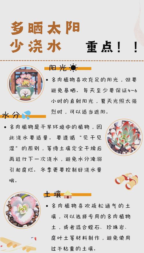 室内花草多少天浇一次水，室内花草多少天浇一次水好？-第5张图片-优品飞百科