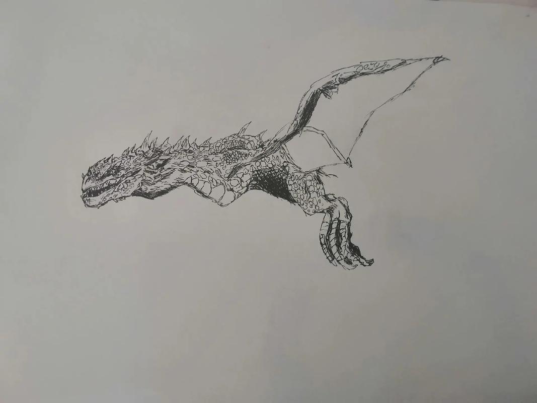 飞龙换盆时间？飞龙养殖技术视频？-第3张图片-优品飞百科