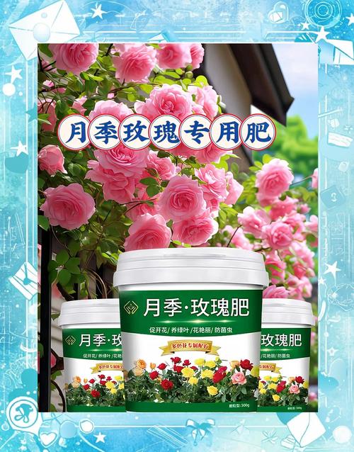 玫瑰花什么时候施肥，玫瑰花什么时候施肥,施什么肥好-第2张图片-优品飞百科