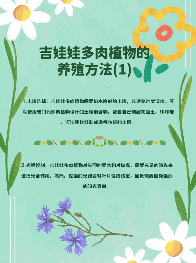 吉娃娃多肉怎么养？多肉咋养？