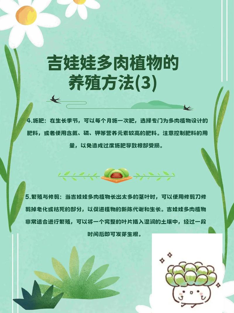 吉娃娃多肉怎么养？多肉咋养？-第7张图片-优品飞百科