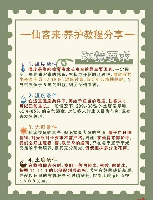 仙客来施什么肥比较好，仙客来施什么肥开花茂盛