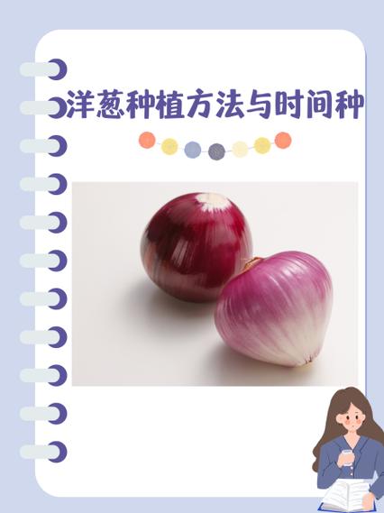 洋葱怎么种植，水培洋葱怎么种植？
