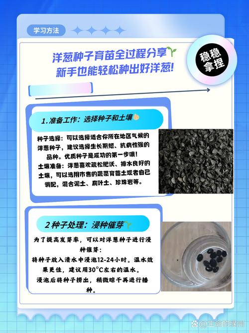 洋葱怎么种植，水培洋葱怎么种植？-第2张图片-优品飞百科