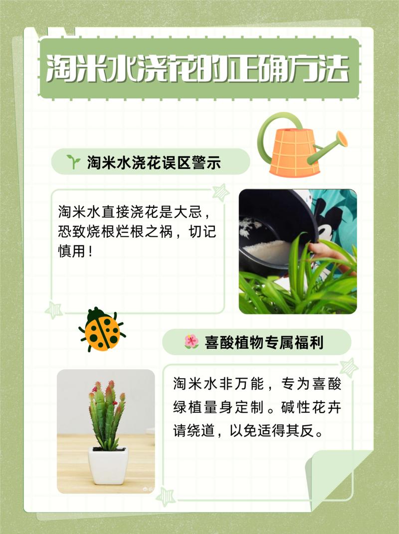 养花用什么水,插花在水里加什么比较好-第3张图片-优品飞百科 养花用什么水,插花在水里加什么比较好-第3张图片-优品飞百科